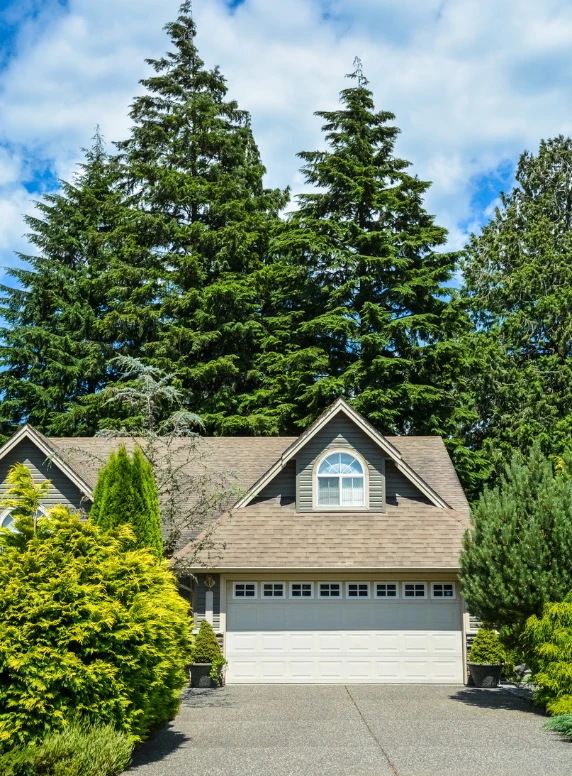 Captain Build Group about us construction team image